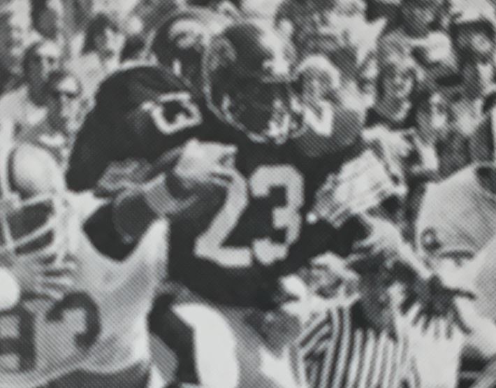 Dwayne Williams - Image courtesy of /images/1980_Iowa_Hawkeyes_Football_Media_Guide_Hayden_Fry.pdf